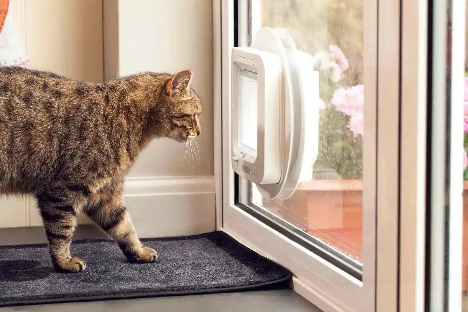 Catflap Installation